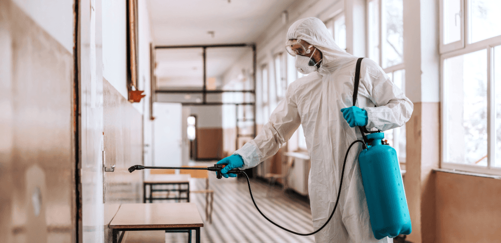 Pest Control Service